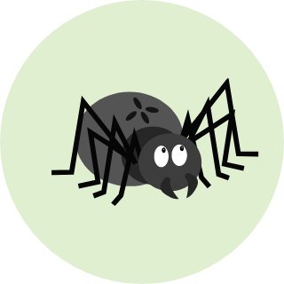 Illustrasjon av en edderkopp