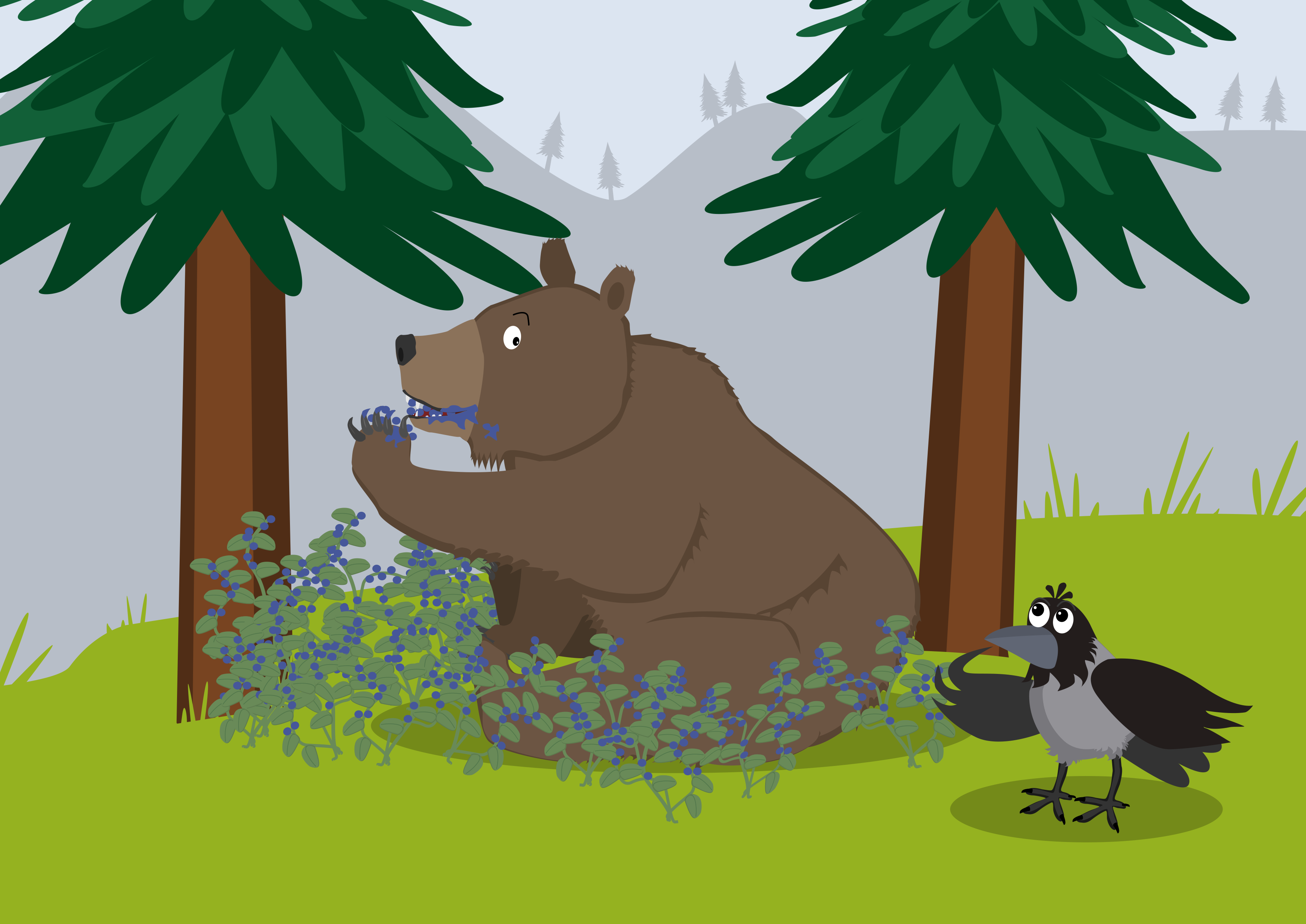 En bjørn som spiser blåbær og ei kråke som ser på